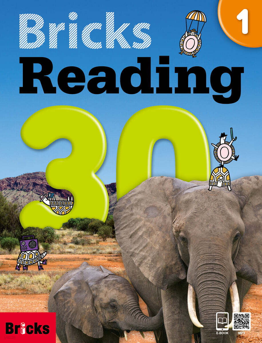 Bricks Reading 30